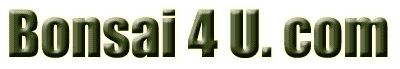 bonsai 4 u.com